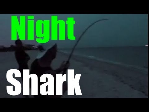 Sharks Eat People, Dont Swim After Dark.