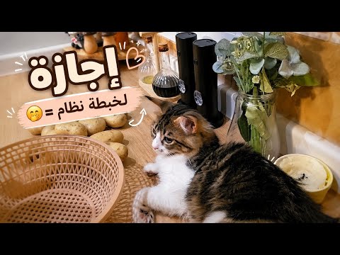فلوق وفضفضه + اتفاقي مع وزوجي 😌 موقف صار بيني وبين جهاد💔