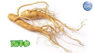 eLead Global Rhapsody 协奏曲 （植物营养素）营养食品 200SV。