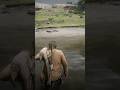 RED DEAD REDEMPTION 2 #gaming #reddeadredemption2 #viralvideo #shorts