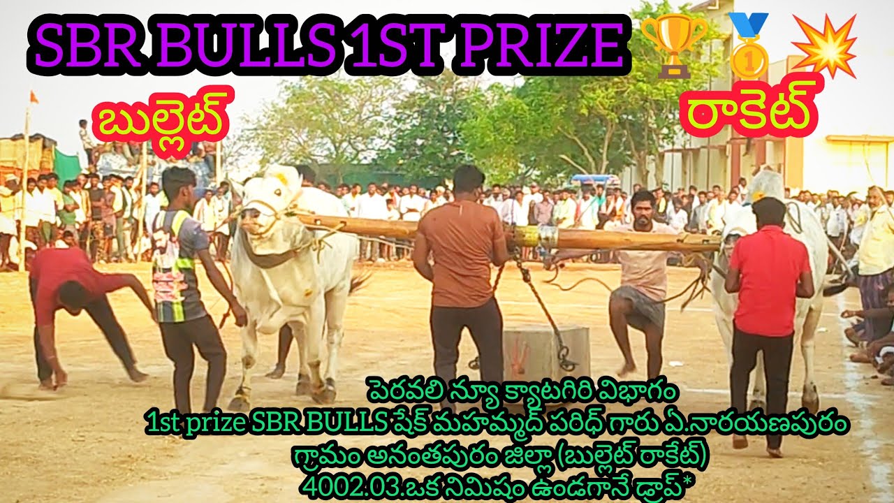 పెరవలి న్యూ క్యాటగిరి విభాగం 1st prize 🏆🥇SBR BULLS షేక్ మొహమ్మద్ ఫరీద్ ఏ నారాయణపురం  
