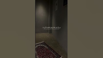 اكتب شي تؤجر عليه ❤️! | سورة الذاريات | القارئ : سعود الشريم .