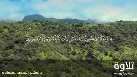 سورة يوسف بالمقام اليمني الصنعاني