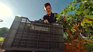 Autol. Landscapes And Wines