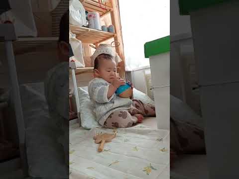 起き上がりこぼし🐧 #hape #ペンギン #shorts