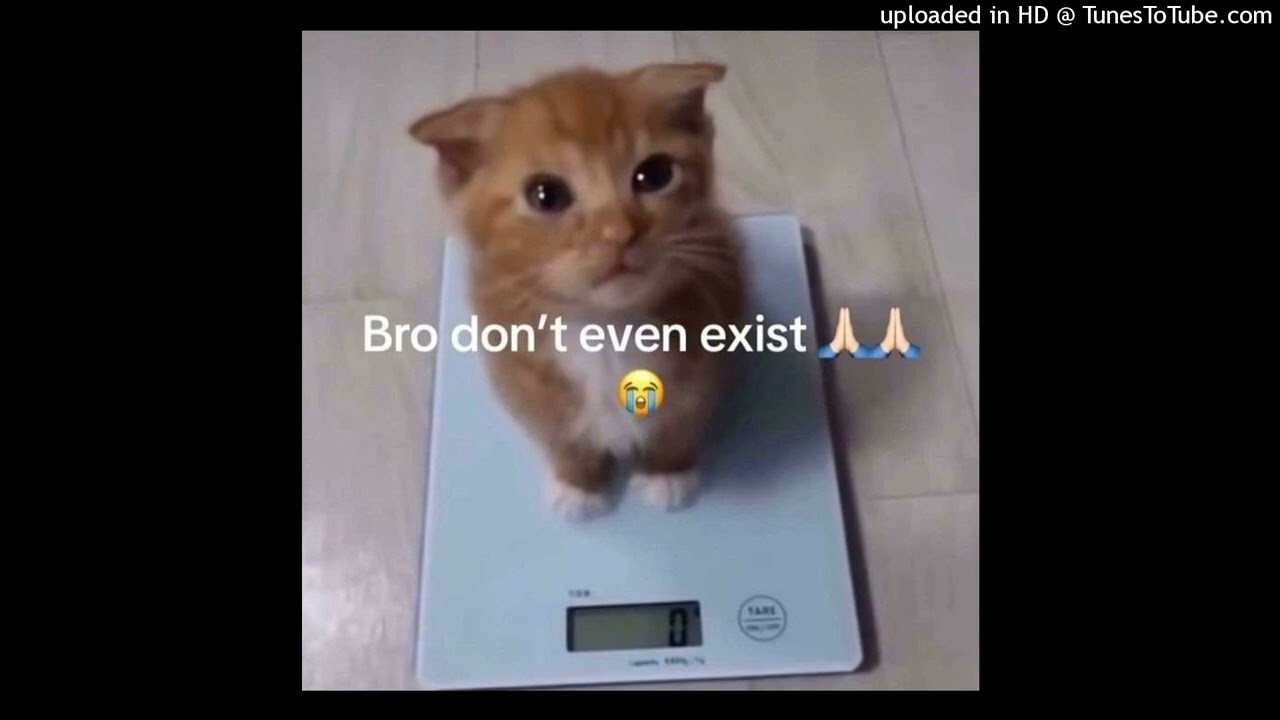 [FREE] Goofy Type Beat - 