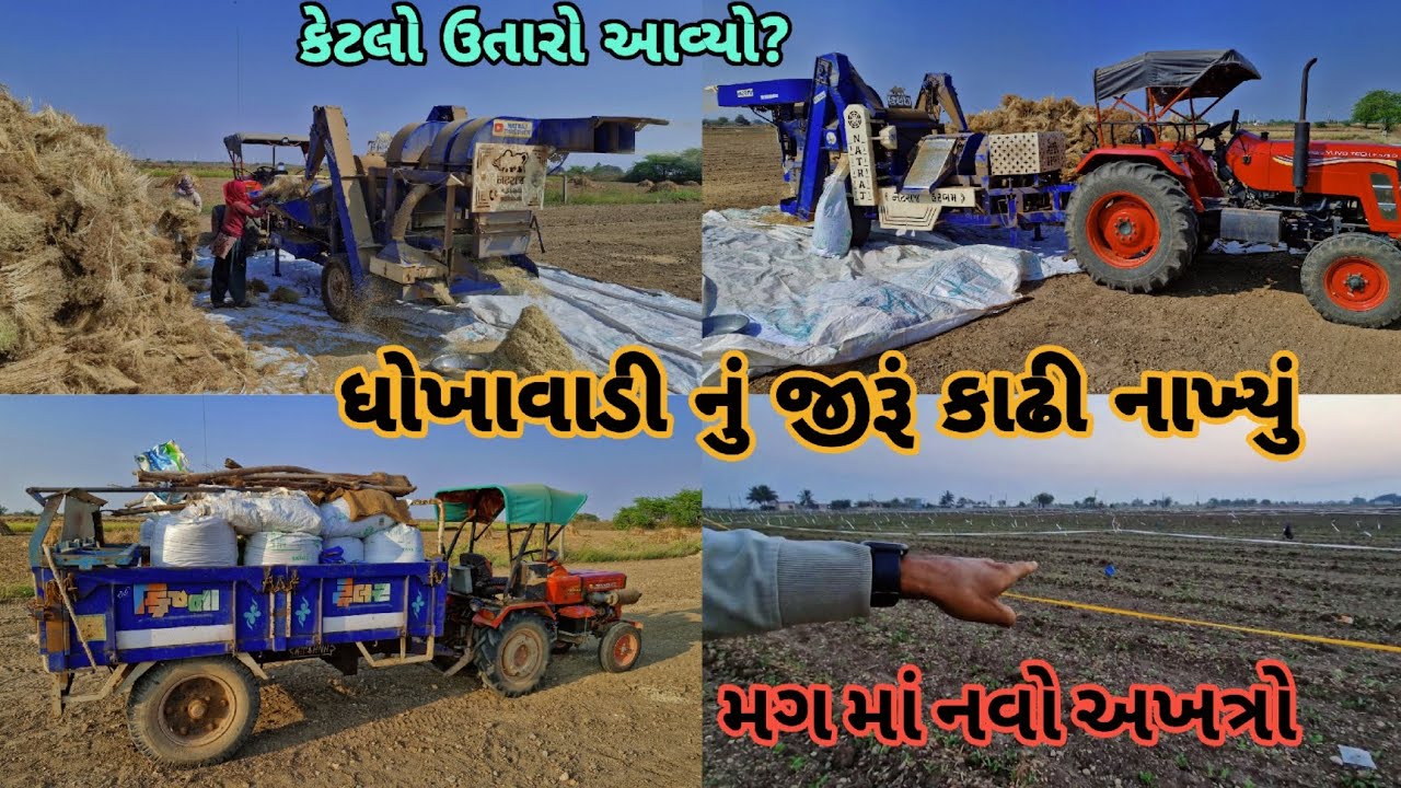 ધોખાવાડી નું જીરૂં કાઢી લીધું||મગ માં નવો આખત્રો||farming life 