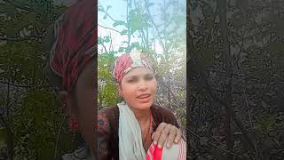 Mashi And Shorts  Safila Lakra Old  New 