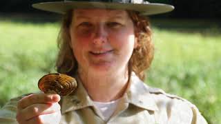 Learn About Mussels In The Duck River
