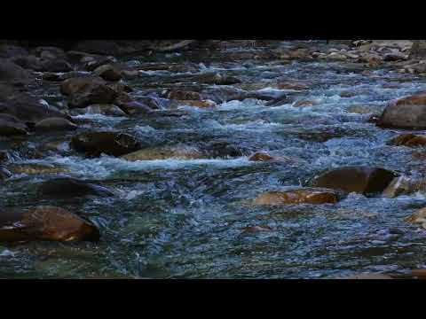 Bright Stream In The High Valley 峽谷間歡快的溪流 Ambience Stream Asmr 