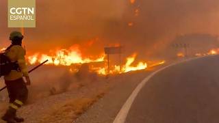 Al menos 12 muertos y 23 desaparecidos por incendio forestal en el sur de España