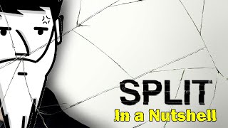 Split in a Nutshell (5 year Anniversary Special) || Yogi Baba