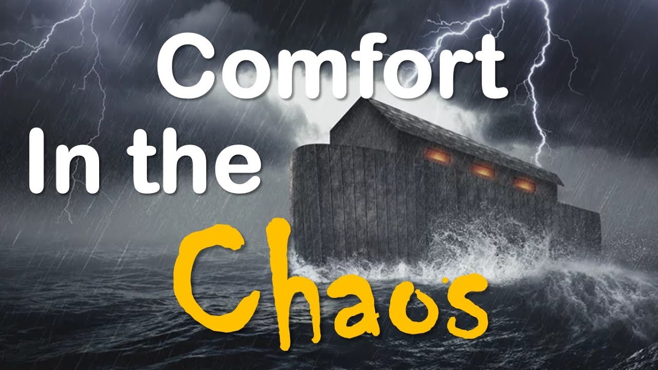 Comfort In The Chaos - YouTube