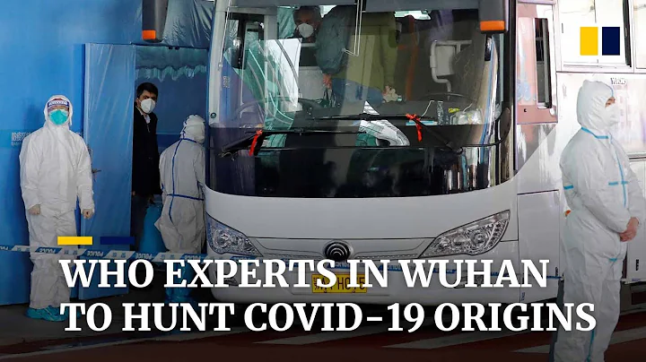 WHO health experts arrive in Covid-19 epicentre Wuhan to investigate origins of coronavirus - DayDayNews