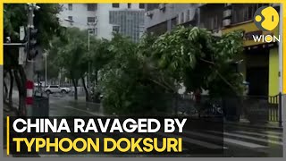 China ravaged by Typhoon Doksuri: Power lines destroyed, schools shut, flights canceled | WION