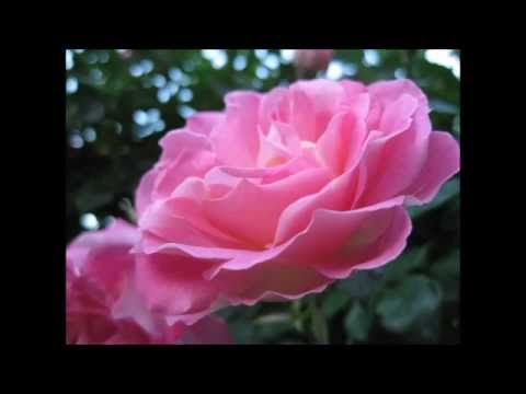 天空の駅 　夕涼美オリジナル37　作曲歌唱鷹大吉様