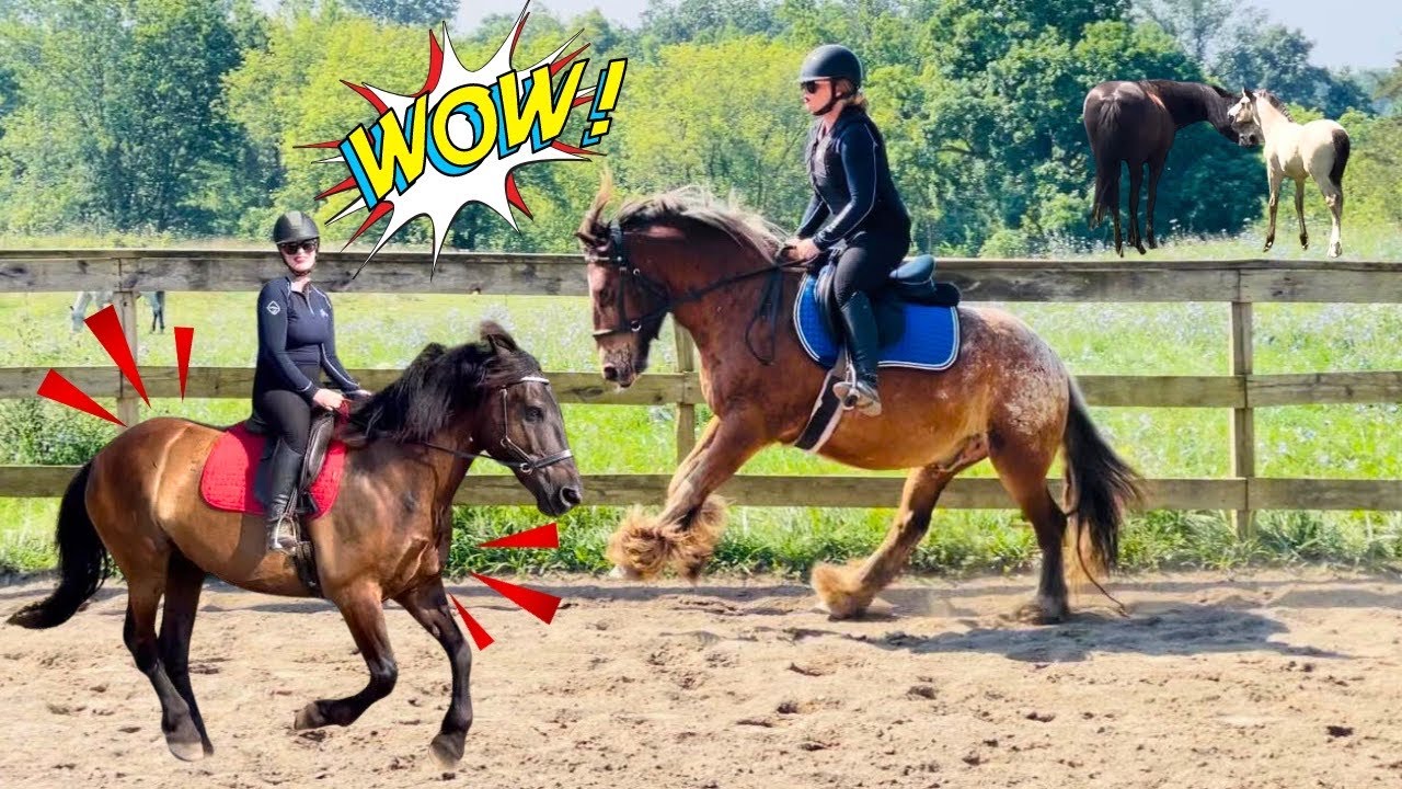 A VERY EVENTFUL MORNING…WOW!