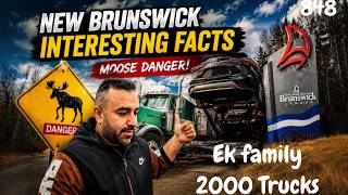 America se New Brunswick enter hote hi Surprise 😳 | 848