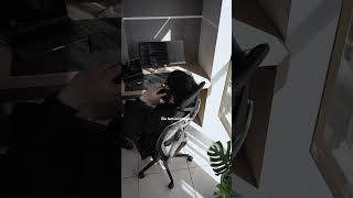 A cadeira Volare Flexform, Vai Transformar Seu Espaço! #design #ergonomia
