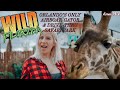 WILD FLORIDA: Orlando's Only Airboat, Gator & Drive-Thru Safari Park | Florida Roadside Attractions