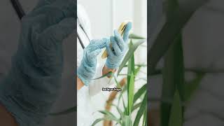 Machines That Heal – AI in Medicine#viral #facts #1millionviews #10millionviews