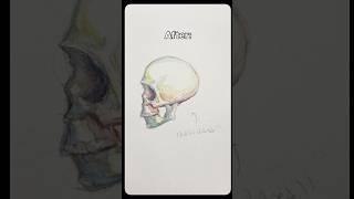 No Way Bro It Actually Worked