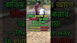 বাড়ি বানানোর আগে উইপোকা দূর করার আসল উপায়/Ultimate Anti-Termite Treatment Guide For Your New Home! 🐜