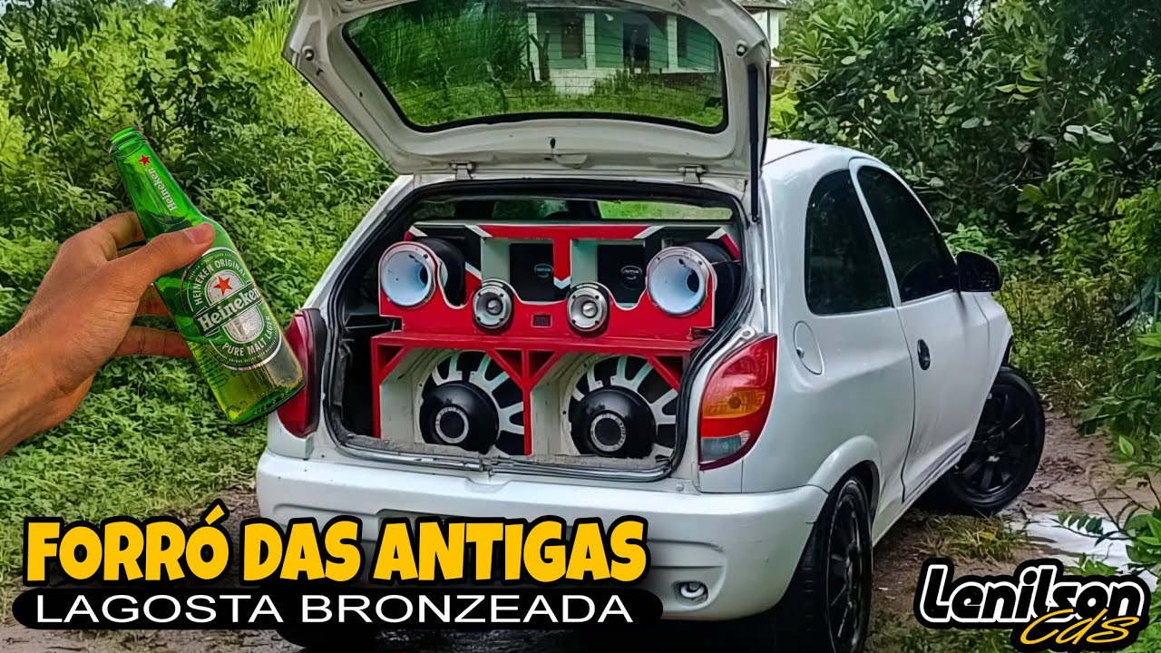 FORRO DAS ANTIGAS - LAGOSTA BRONZEADA - SÓ AS MELHORES @lenilsoncds1