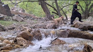 The third part of the video is accidentally following a beautiful dog and a boy in nature