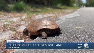 Neighbors fight to preserve Nickels Forest