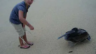 Erika Unhappy Bird.mov Erika Unhappy Bird.mov