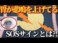 胃が悲鳴を上げているサインとは？胃が不調の時のSOSとその原因とは？胃の機能低下で身体に現れる症状とは？知ってよかった雑学
