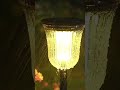 Money-Saving Magic! Solar Lights Pay for Themselves in 3 Years