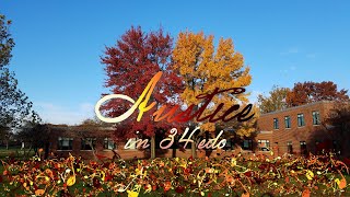 Austice [music in 34edo] screenshot 5