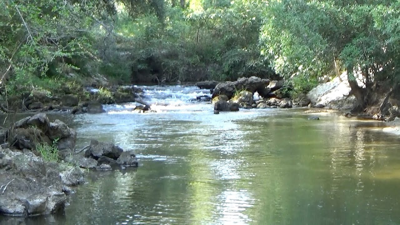 The bees had a room with a view.