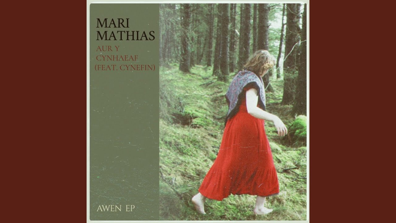 Aur y Cynhaeaf