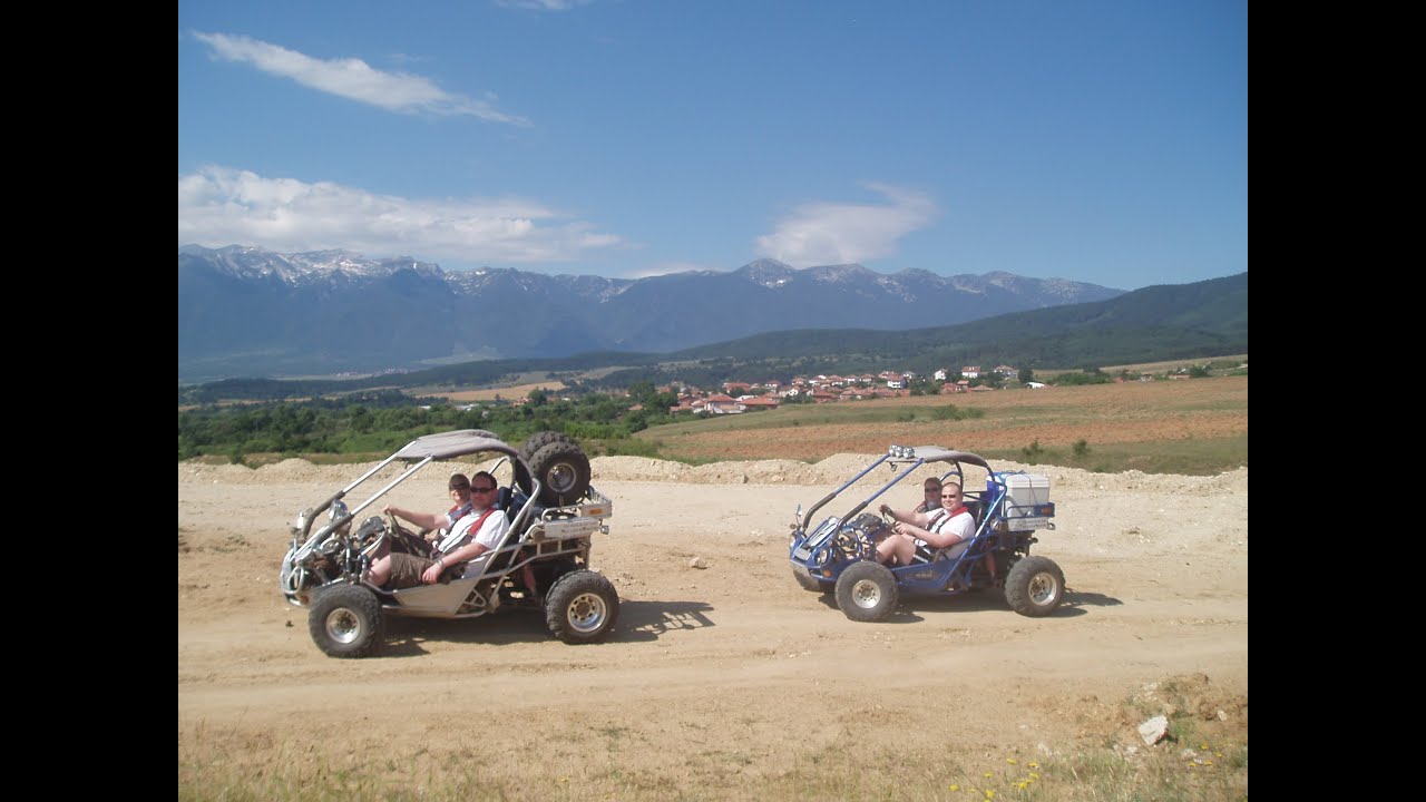 buggies 2013
