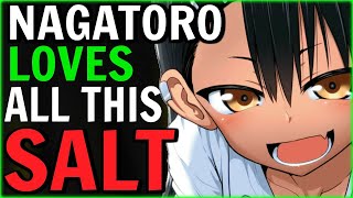 Enraged with Nagatoro videos, redditor with nearly 1 MILLION KARMA writes a literal essay about me..
