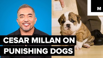 Cesar Millan