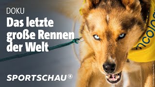 Extremes Hundeschlitten-Rennen Durch Alaskas Wildnis Iditarod Sportschau