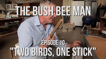 Modifying Second-hand Beehives - Episode 10: "Two Birds, One Stick"