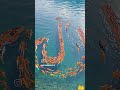 A Calm Visual Story Created with Al #allahamdulillah #allah #trendingshorts #aivideo