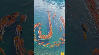 A Calm Visual Story Created with Al #allahamdulillah #allah #trendingshorts #aivideo