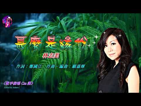 甚麼是緣份   林志美〈歌手演唱 Cm 調〉