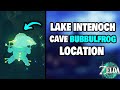 How To Find The Lake Intenoch Cave Bubbulfrog Location in Zelda Tears of the Kingdom