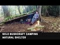 Solo Bushcraft camping | Natural shelter | Camp fire cooking | survival shelter