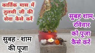 Video Download