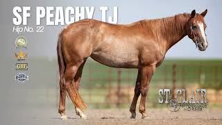 Hip No. 22 | SF PEACHY TJ