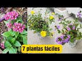 Plantando plantas resistentes a mucho sol y calor