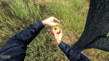 DayZ 0.62 SHADOWS BUG